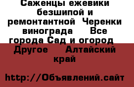 Саженцы ежевики безшипой и ремонтантной. Черенки винограда . - Все города Сад и огород » Другое   . Алтайский край